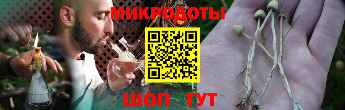 Псилоцибиновые грибы мицелий Фрязино